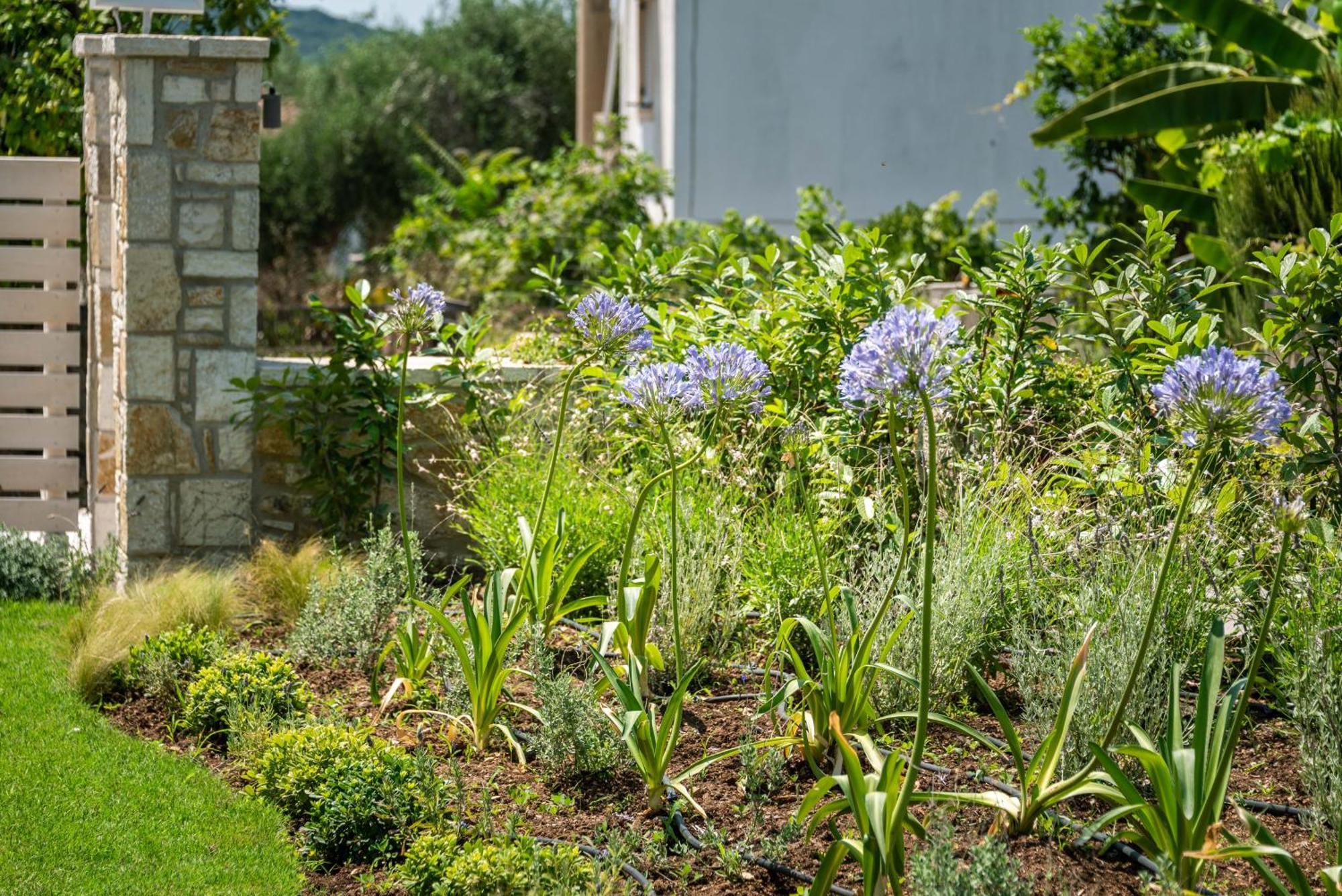 דירות Syvota Gardens מראה חיצוני תמונה